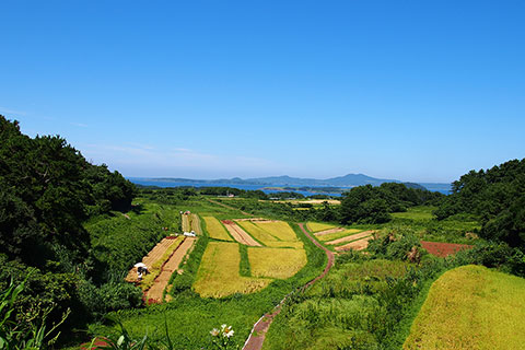 小値賀島イメージ写真